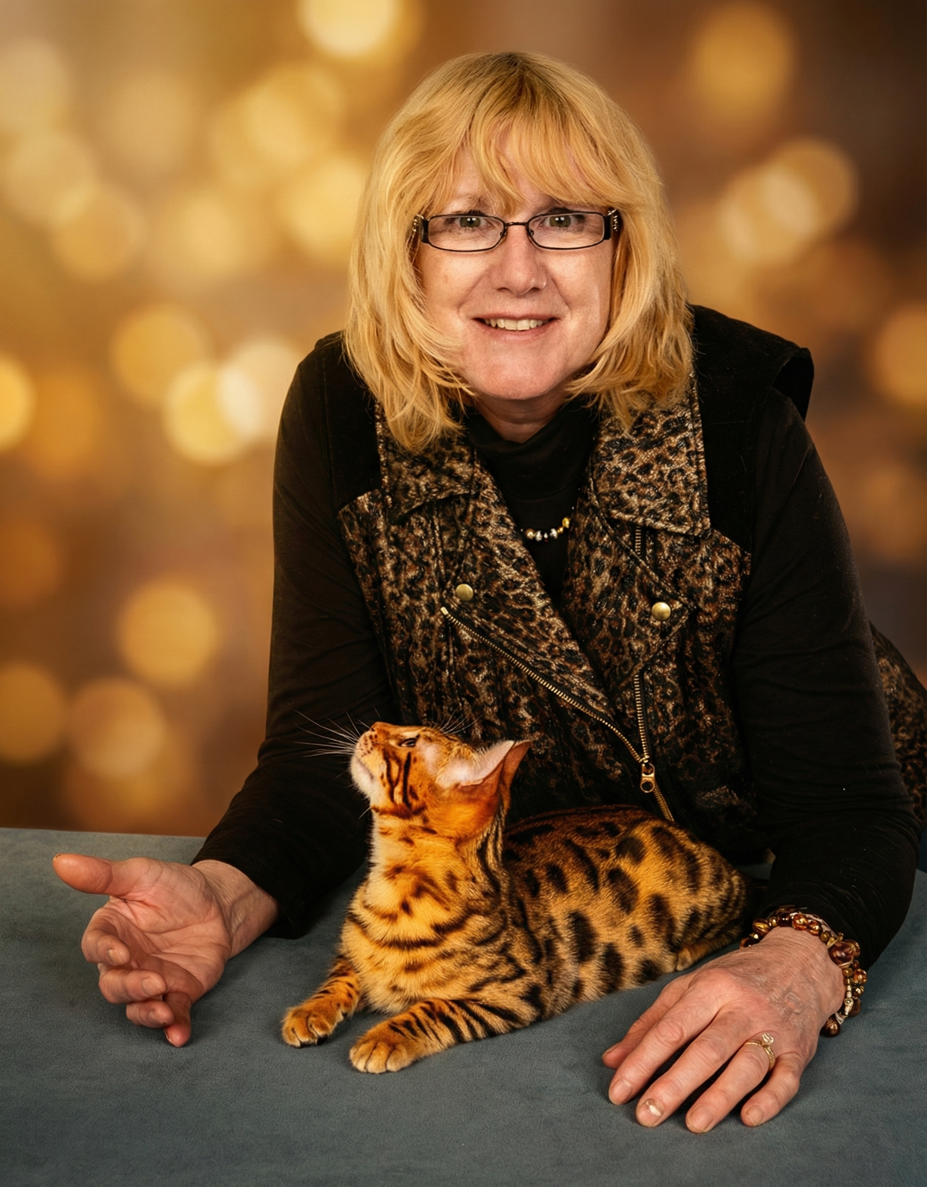 Beautiful Bengal cat with striking rosette pattern